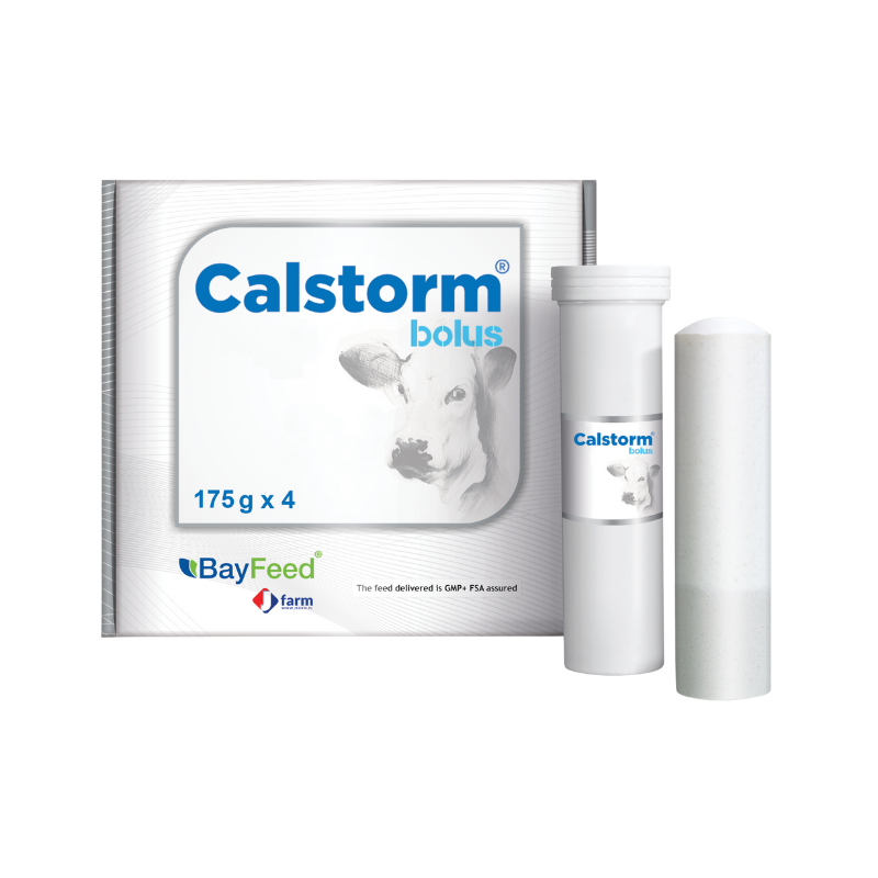 Calstorm Bolus