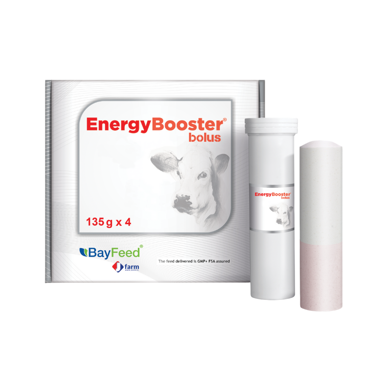 Energy Booster Bolus